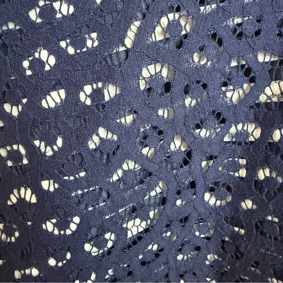 The Limited | Blue Mini Skater Skirt with Lace Overlay - Picture 3 of 6